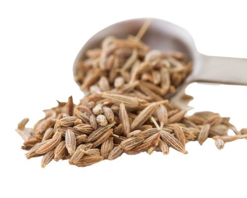 866fe0_7f94201a9faf49db97f3199ca8a0210b~mv2_12