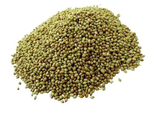 866fe0_f1aa1b466bcd4353a9863e7bfa4d14a2~mv2_23